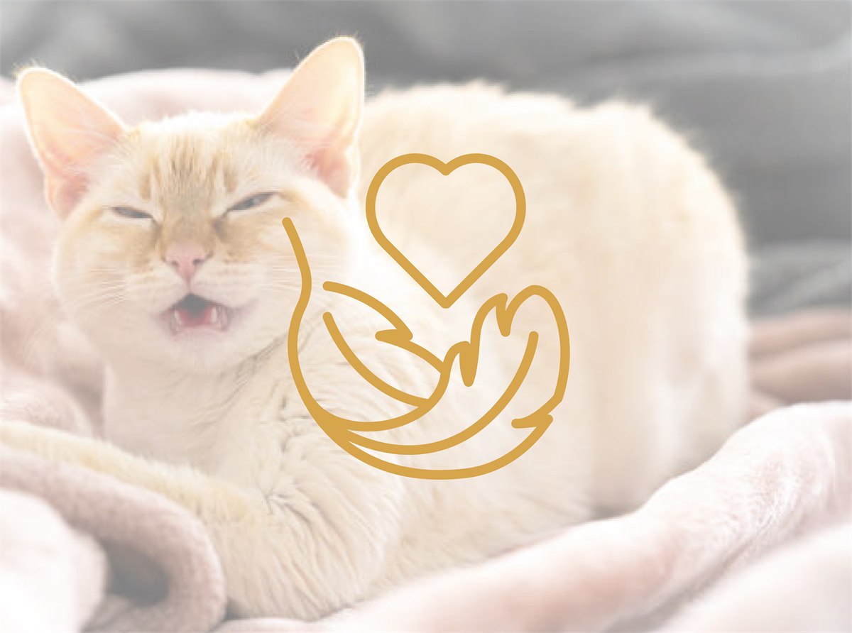 NickyPlus hipoalerjenik kedi maması