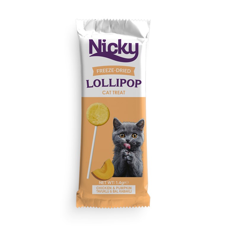 Nicky Pumpkin Lollipop